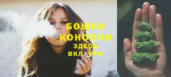 СК Бронницы