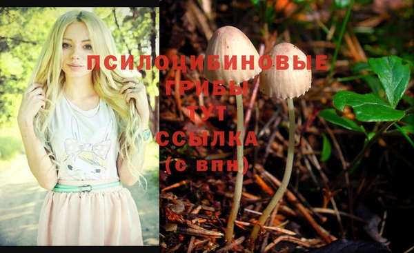 первитин Бугульма
