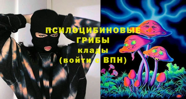 индика Аркадак