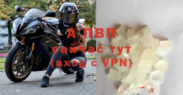 СК Бронницы