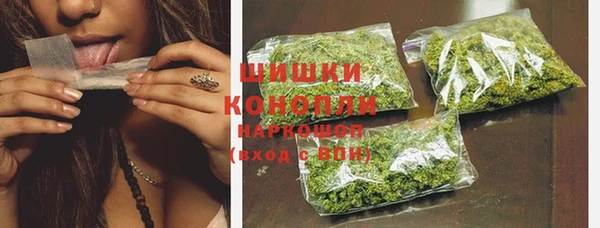 СК Бронницы