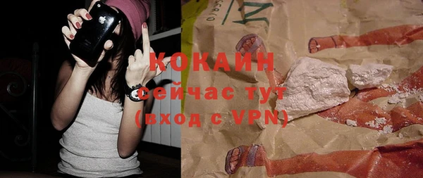 СК Бронницы