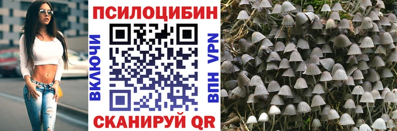 гидра зеркало  Нерюнгри  Псилоцибиновые грибы Psilocybe 