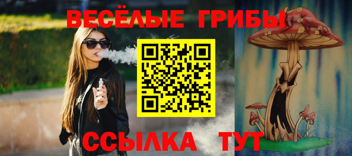 Псилоцибиновые грибы Cubensis Нерюнгри