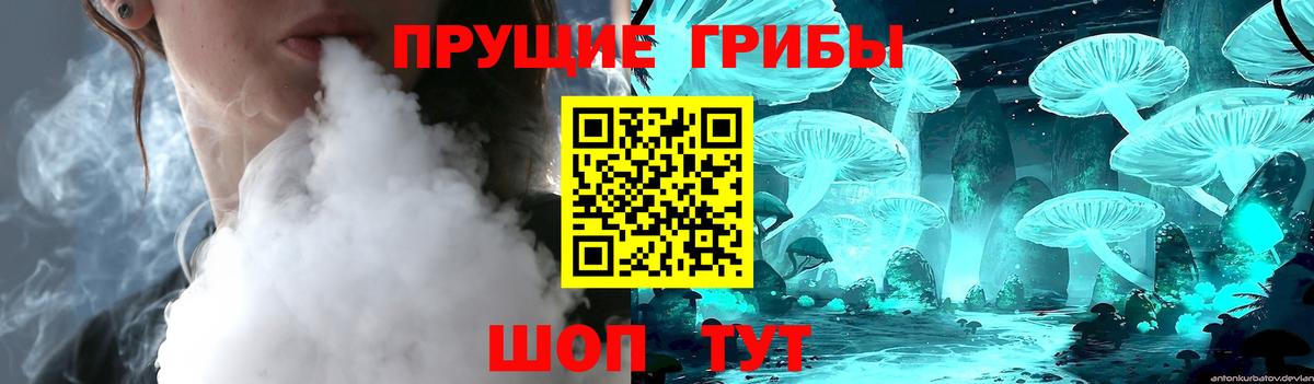 Галлюциногенные грибы мицелий  Вход с VPN  Нерюнгри 